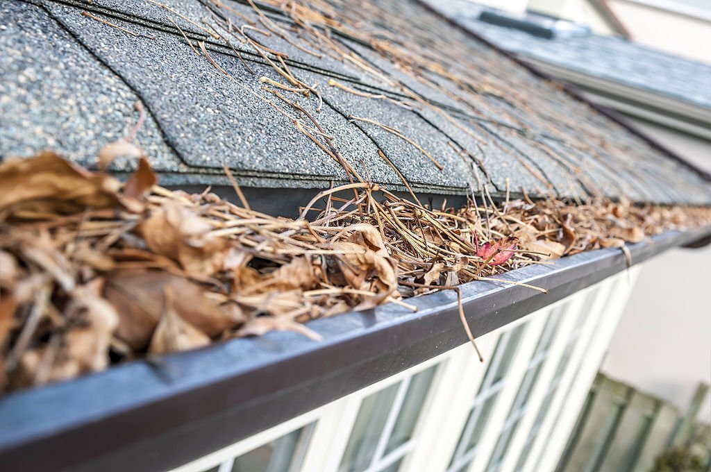 WHY OPT FOR PROFESSIONAL GUTTER CLEANING SERVICES?