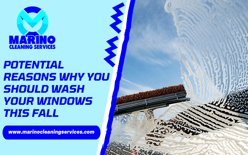 Potential Reasons Why You Should Wash Your Windows This Fall