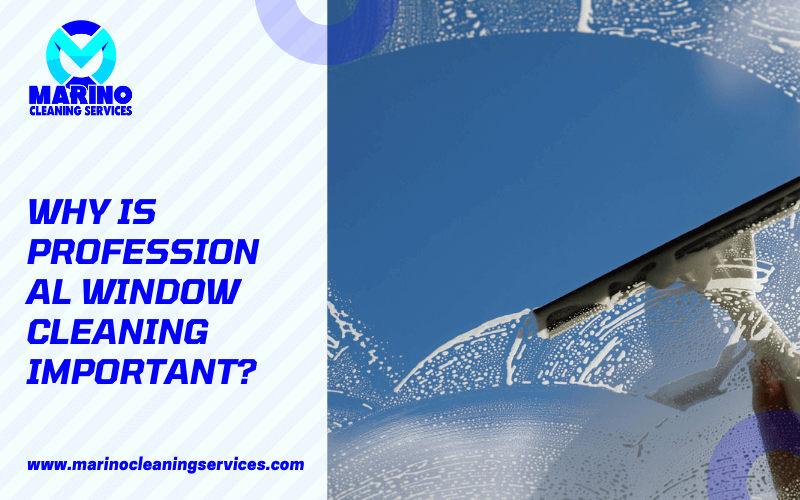Why Is Professional Window Cleaning Important?