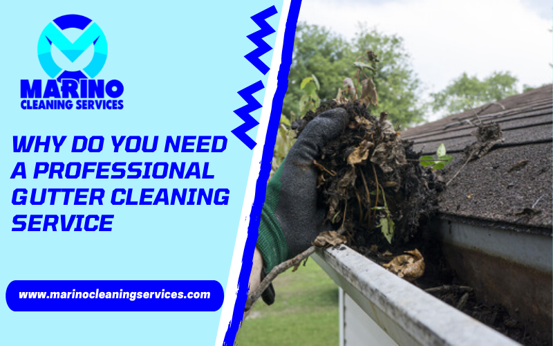 WHY DO YOU NEED A PROFESSIONAL GUTTER CLEANING SERVICE?