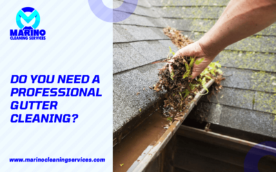 Do you Need a Professional Gutter Cleaning?