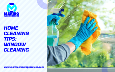 Home Cleaning Tips: Window Cleaning