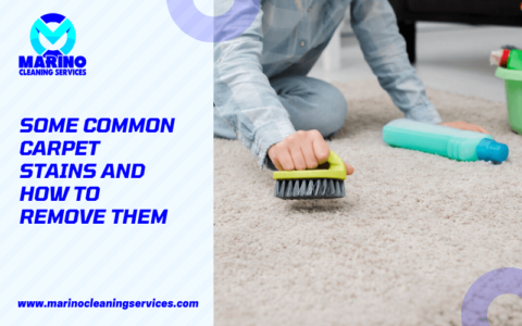 How To Remove Common Carpet Stains | Marino Cleaning Services