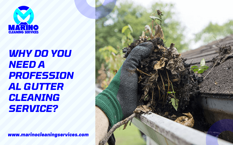 Why Do You Need A Professional Gutter Cleaning Service