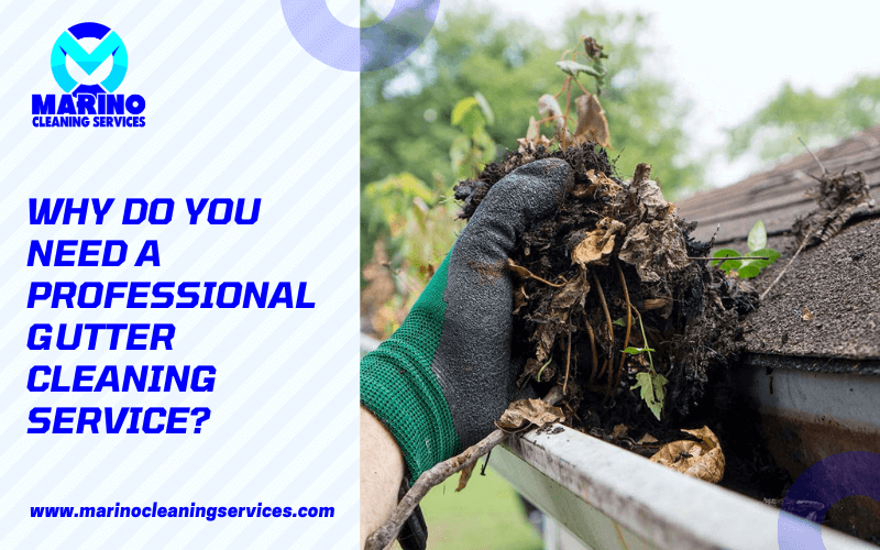 Why Do You Need A Professional Gutter Cleaning Service?