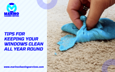 How to Get Slime out of The Carpet?