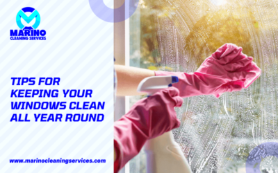 Tips for Keeping your Windows Clean all Year Round