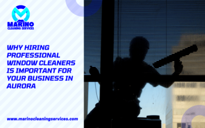 Why Hiring Professional Window Cleaners Is Important For Your Business In Aurora