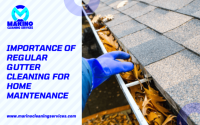 Importance Of Regular Gutter Cleaning For Home Maintenance